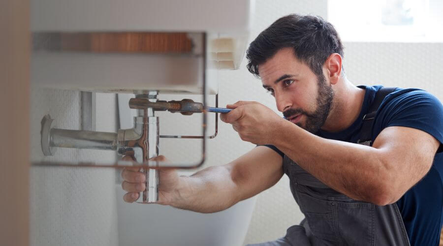 Trap Repair/Replacement in Golden Eagle, IL